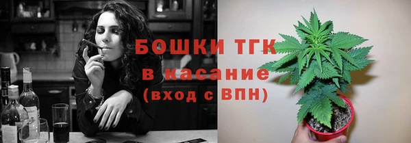ешки Алексин