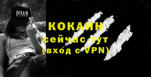 дживик Алзамай