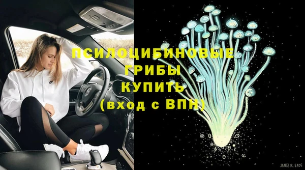 ешки Алексин