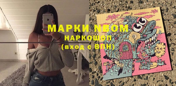 ешки Алексин