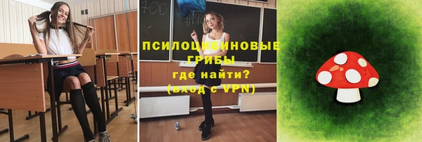 ешки Алексин