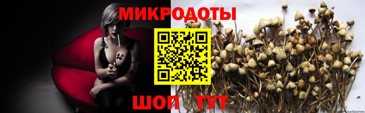 Махачкала  Галлюциногенные грибы GOLDEN TEACHER  Вход с VPN 
